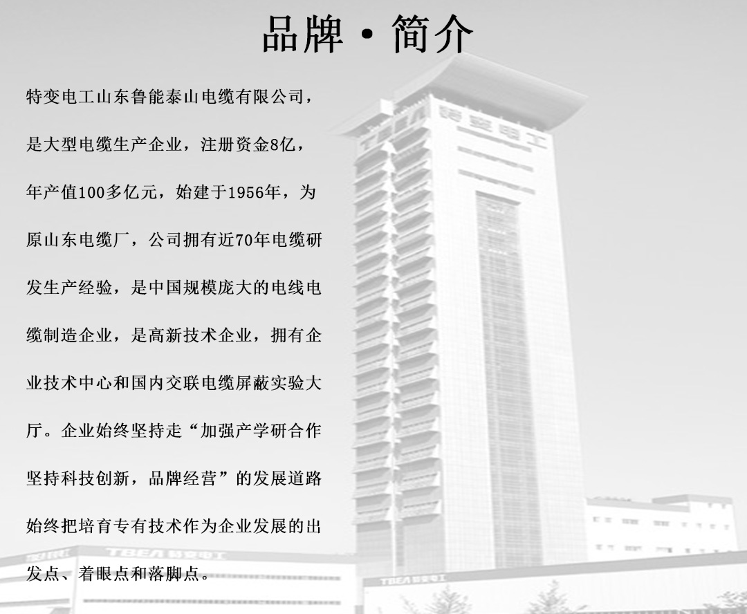 特變電工電線電纜批發(fā) 特變電工電線電纜批發(fā)